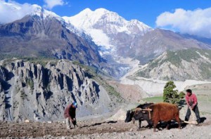 manang trek