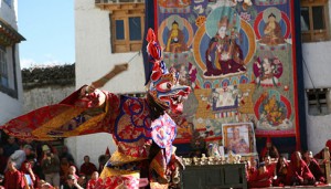 tiji-festival-mustang